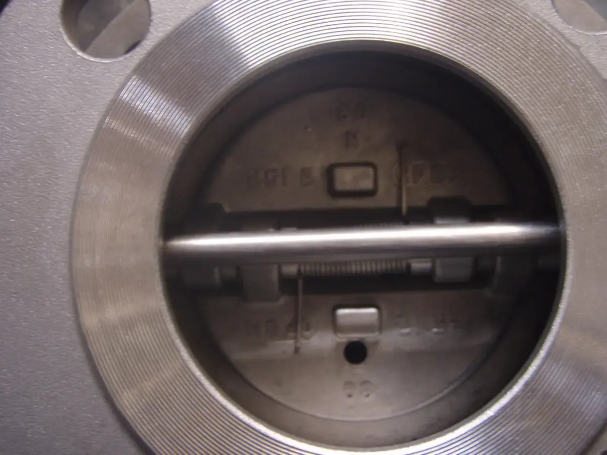 Forged Check Valves — illustrative photograph