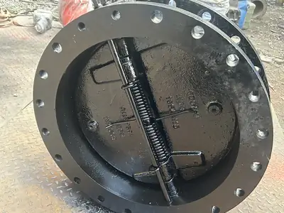 Dual plate & wafer check valves in stock at S.K Trading & Co., Navi Mumbai — photo 2