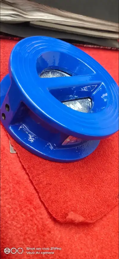 Dual plate & wafer check valves in stock at S.K Trading & Co., Navi Mumbai — photo 8