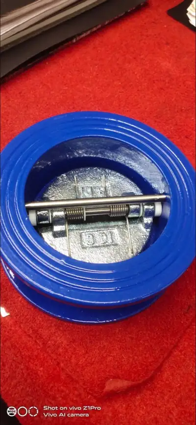 Dual plate & wafer check valves in stock at S.K Trading & Co., Navi Mumbai — photo 9