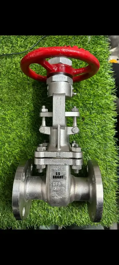 Gate valves in stock at S.K Trading & Co., Navi Mumbai — photo 11