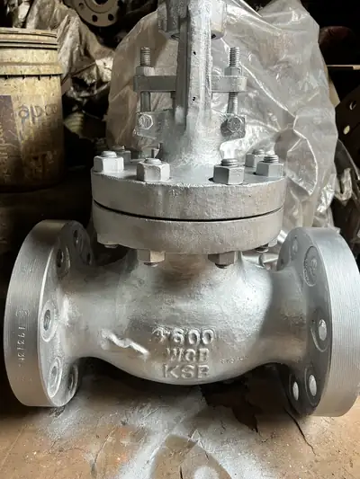 Globe valves in stock at S.K Trading & Co., Navi Mumbai — photo 2