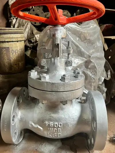 Globe valves in stock at S.K Trading & Co., Navi Mumbai — photo 5