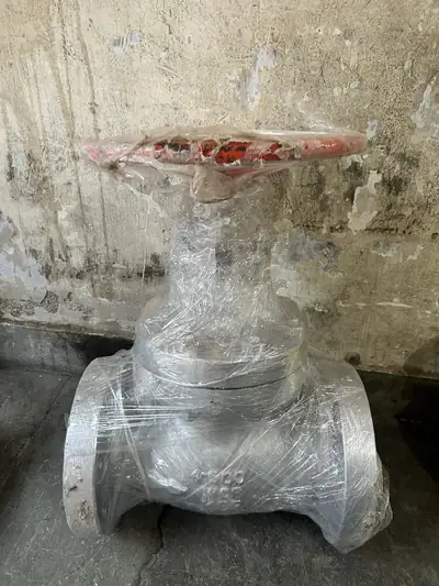 Globe valves in stock at S.K Trading & Co., Navi Mumbai — photo 6