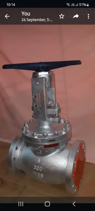 Globe valves in stock at S.K Trading & Co., Navi Mumbai — photo 7