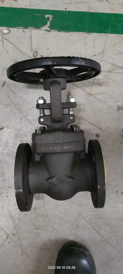 Globe valves in stock at S.K Trading & Co., Navi Mumbai — photo 9
