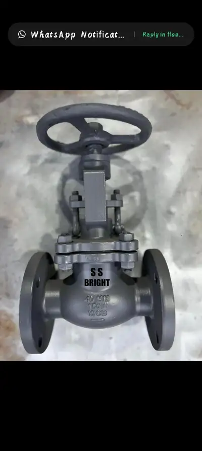 Globe valves in stock at S.K Trading & Co., Navi Mumbai — photo 18