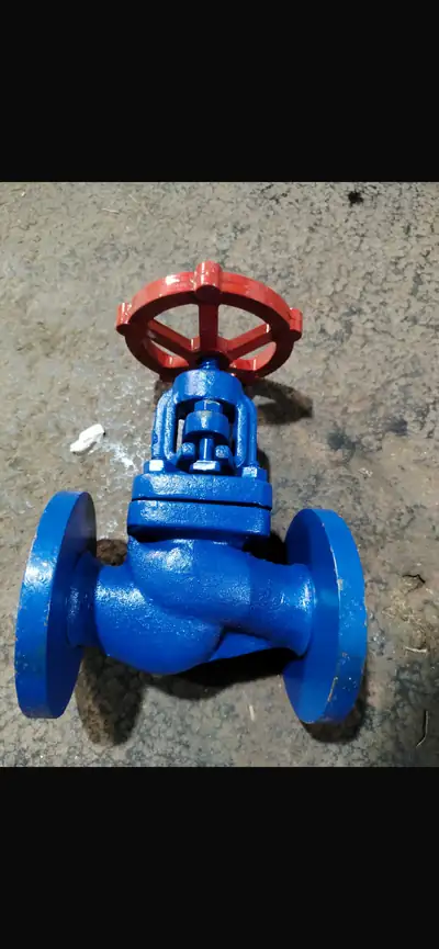 Globe valves in stock at S.K Trading & Co., Navi Mumbai — photo 23