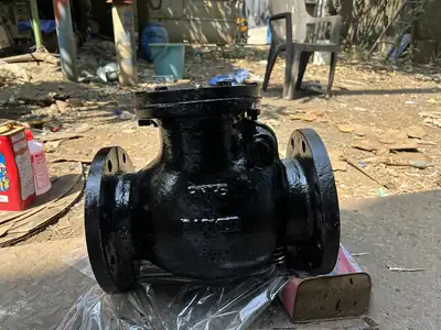 Reflux valves in stock at S.K Trading & Co., Navi Mumbai — photo 20