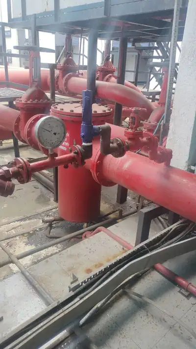 On site at S.K Trading & Co., photo 8