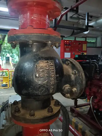 On site at S.K Trading & Co., photo 29