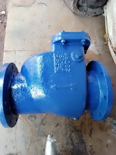 Swing check valves (NRV) in stock at S.K Trading & Co., Navi Mumbai — photo 1