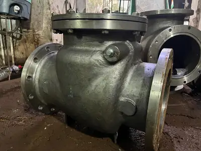 Swing check valves (NRV) in stock at S.K Trading & Co., Navi Mumbai — photo 2