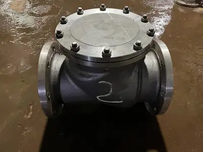 Swing check valves (NRV) in stock at S.K Trading & Co., Navi Mumbai — photo 3