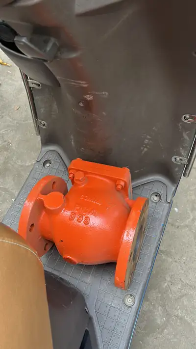 Swing check valves (NRV) in stock at S.K Trading & Co., Navi Mumbai — photo 14