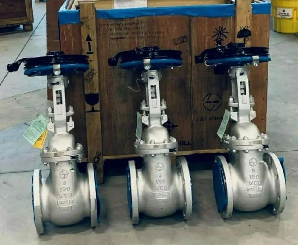 Cast Steel Gate Valve