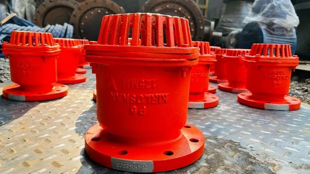 Kirloskar Cast Iron Foot Valve