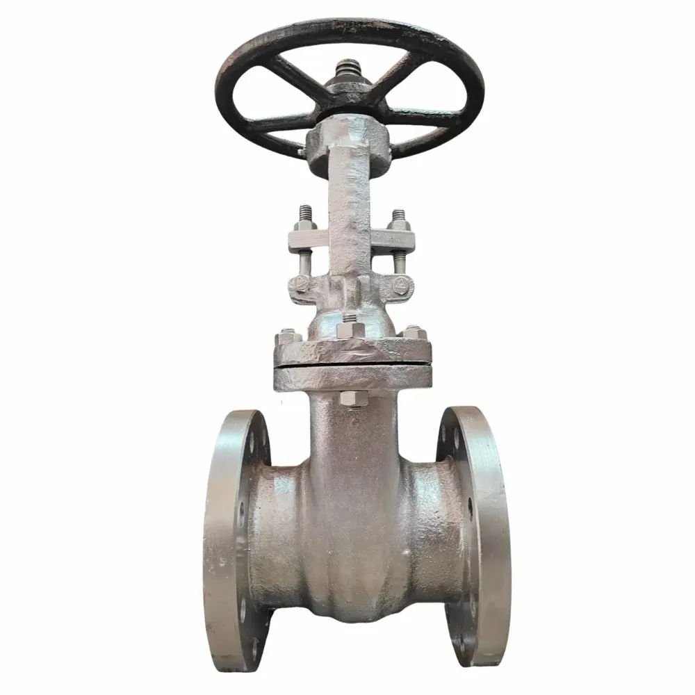 Mild Steel Gate Valve