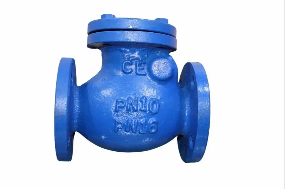 CI Check Valve — photo 1 of 3