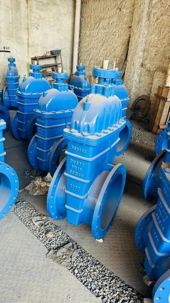 Wedge Gate Valves — photo 1 of 3
