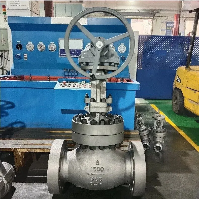 Steam Globe Valve
