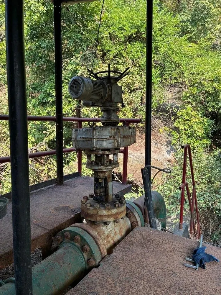DIN Globe Valves