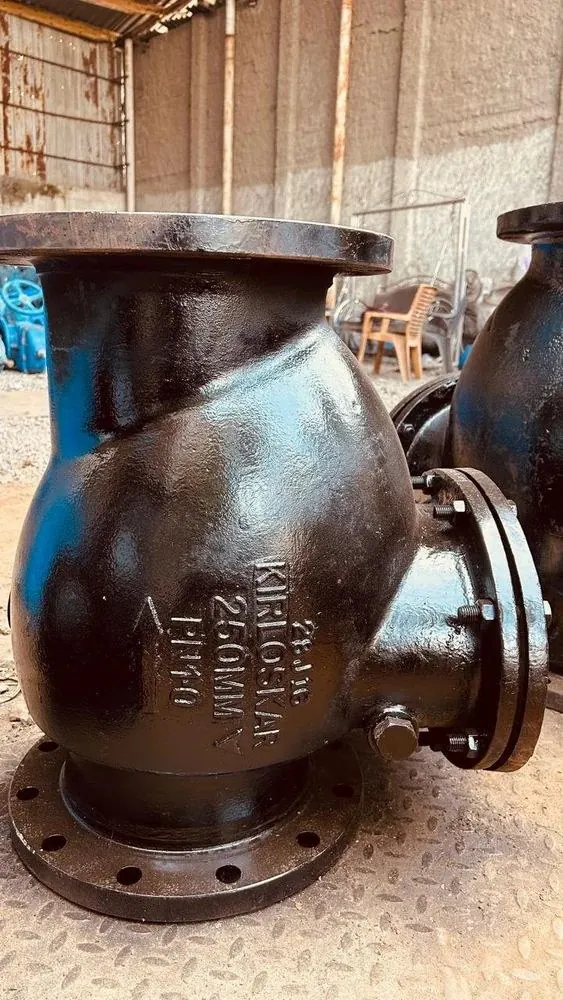 Kirloskar Cast Iron Non Return Valve