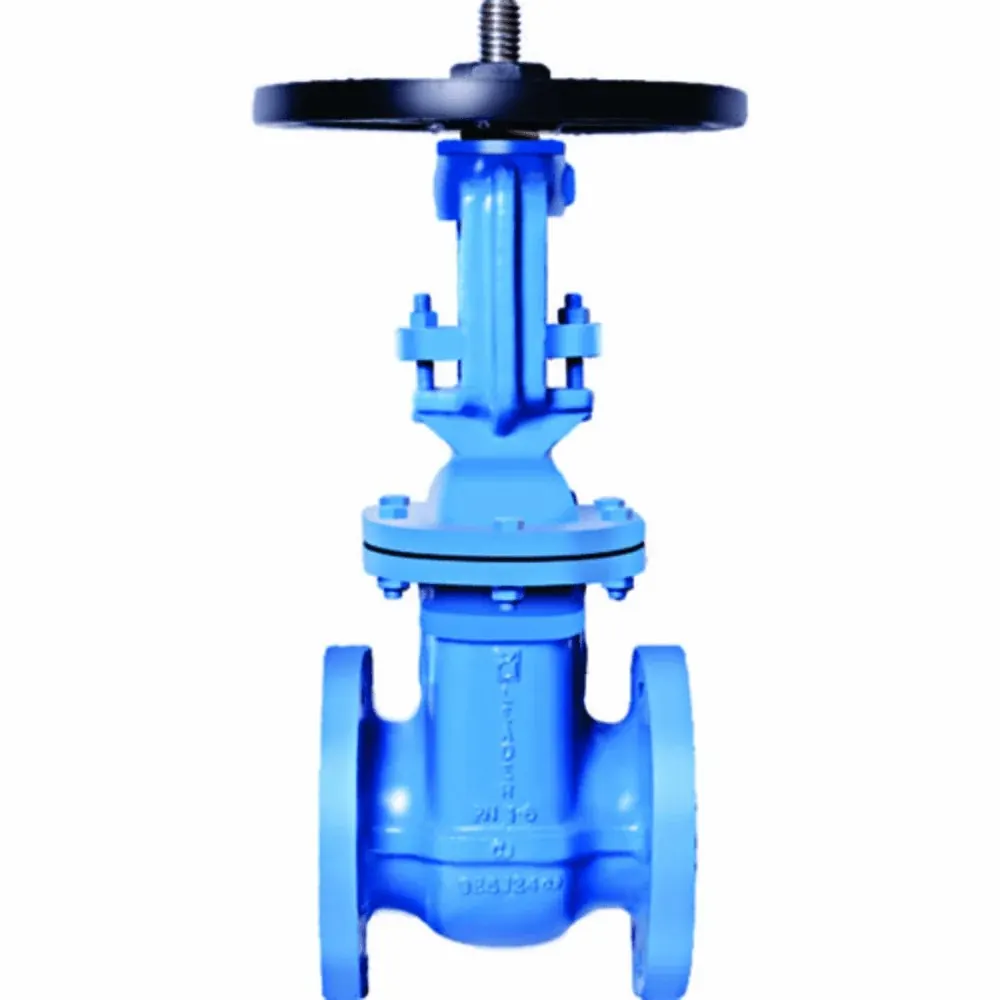 Cast Iron Valve