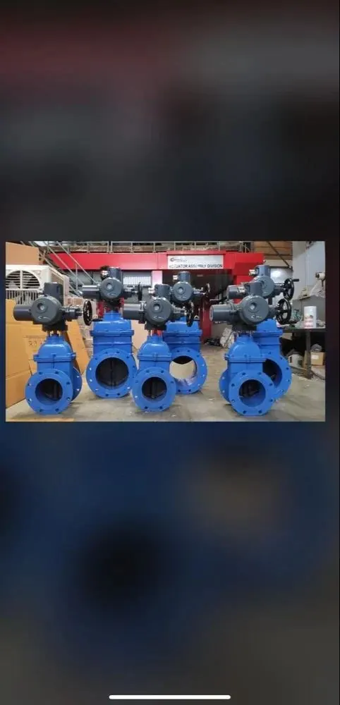 Ductile Iron Valve