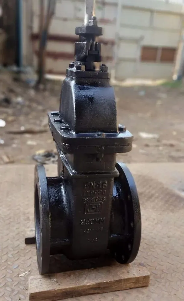 Cast Iron Double Flange Sluice Valve