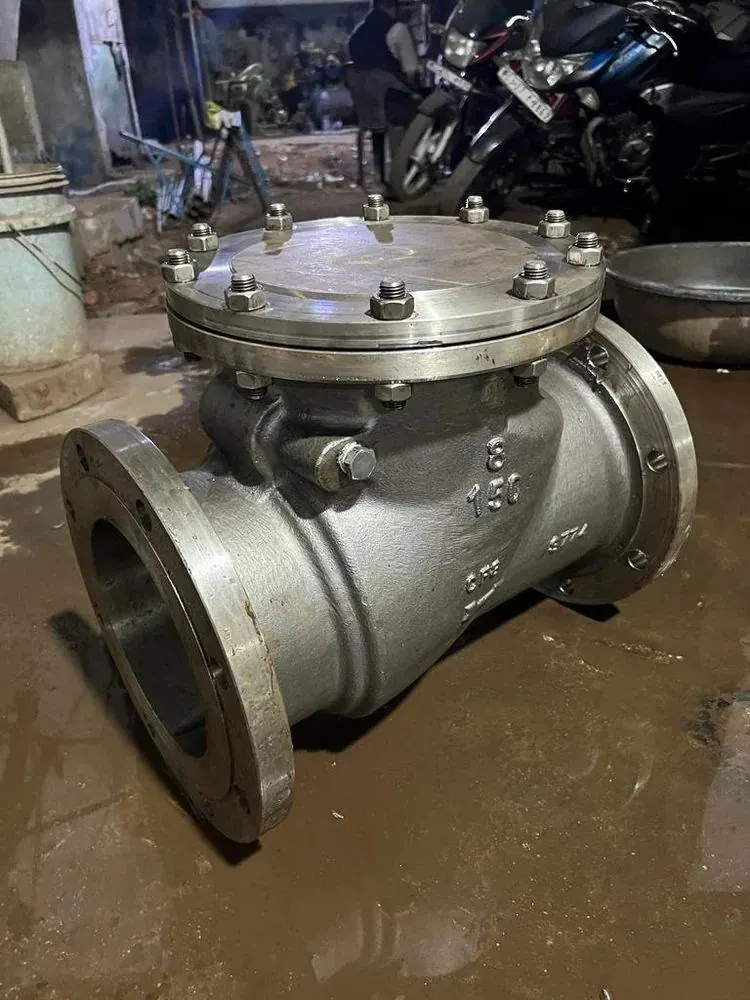 SS Non Return Valve