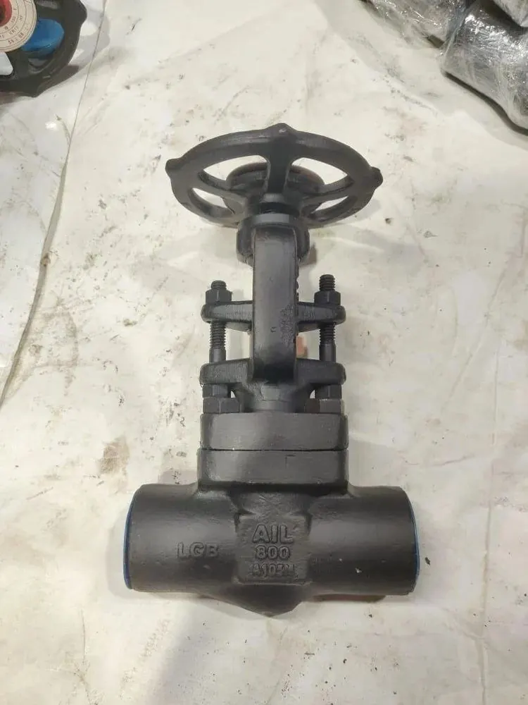 Forged Steel Gate Valves