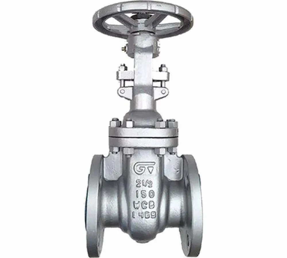 WCB Gate Valve — photo 1 of 3