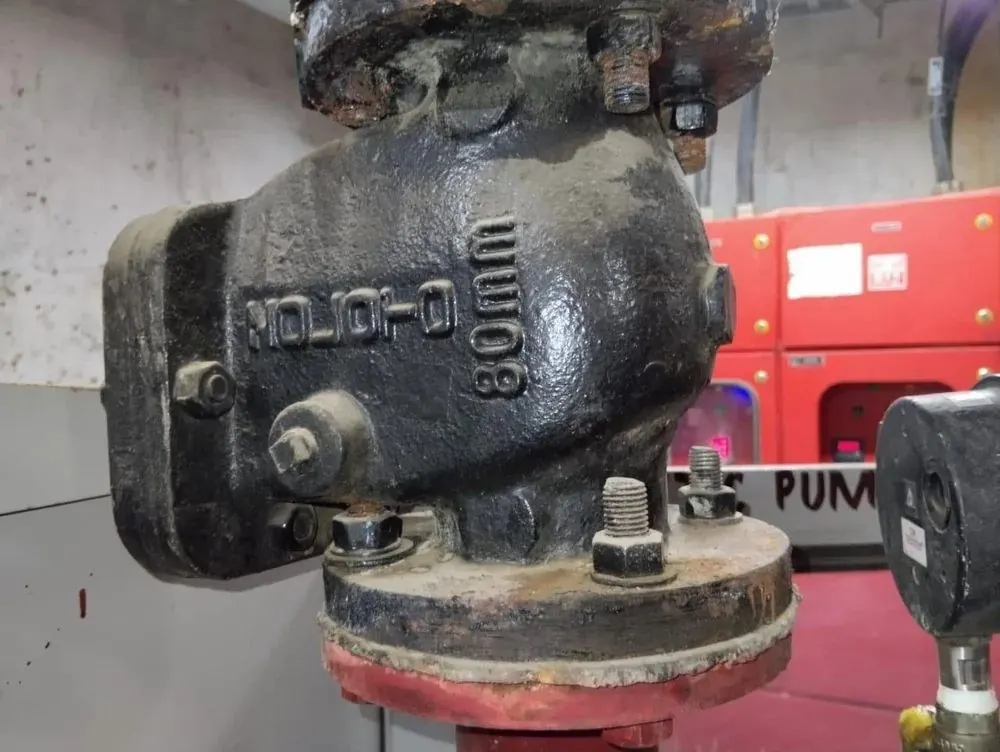 Cast Iron Swing Valve