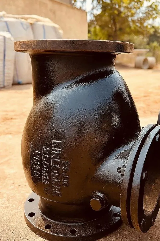 Swing Check Valve