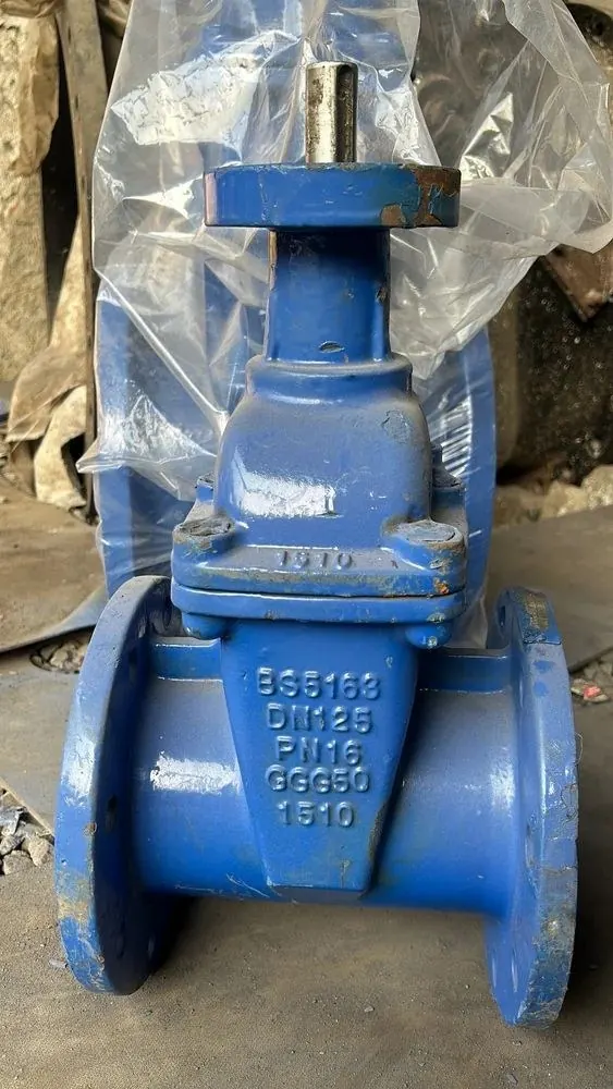 Resilient Wedge Gate Valve — photo 1 of 3