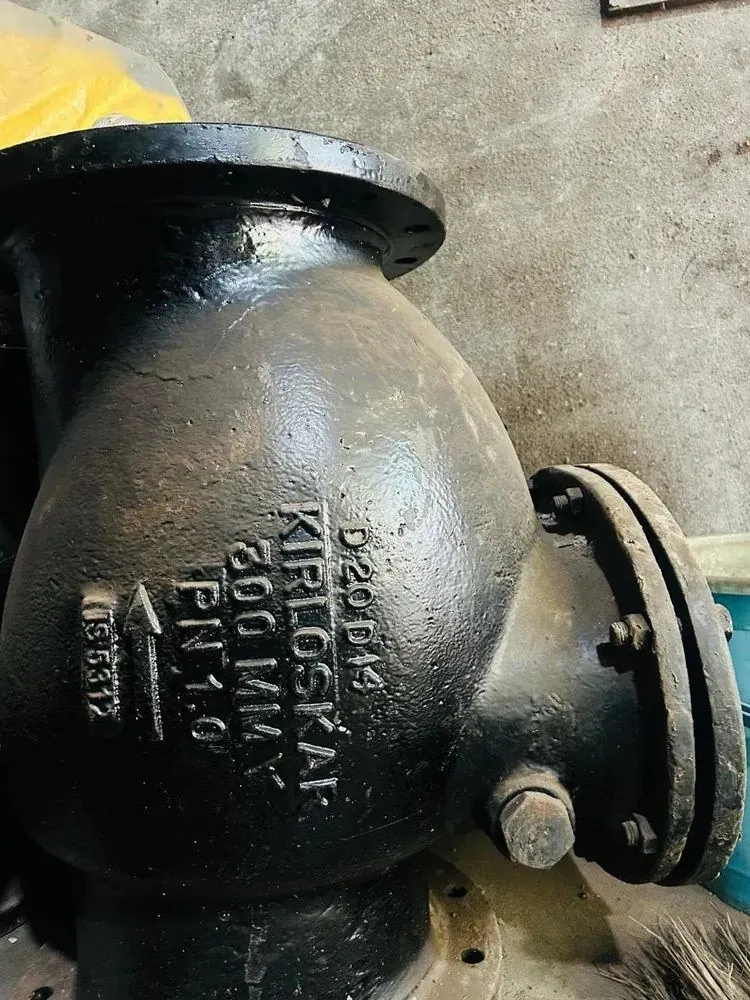 Kirloskar Check Valves