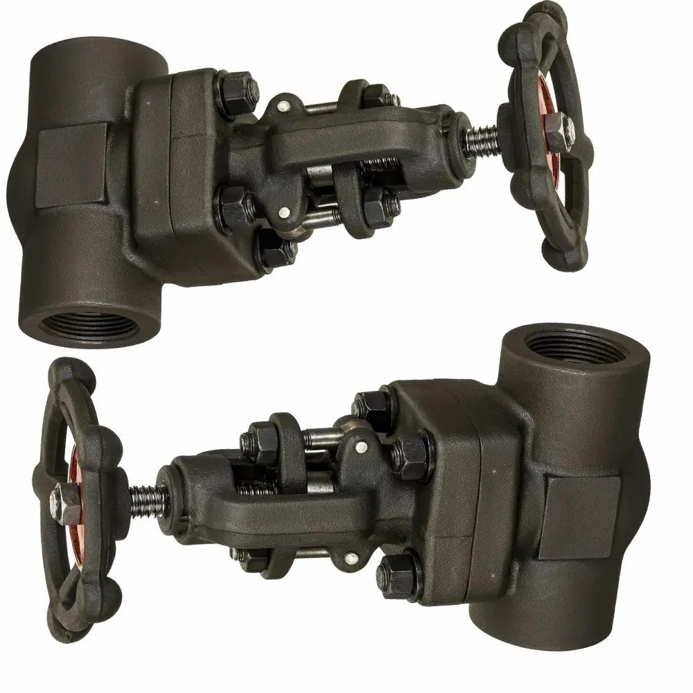 KSB Forged Steel Globe Valve