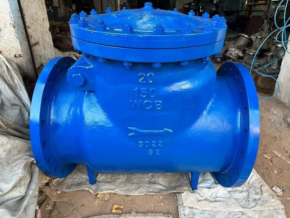Lift Check Valve