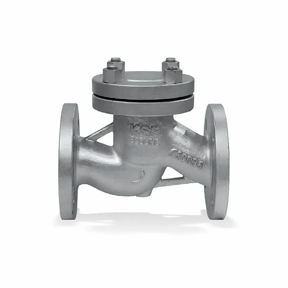 KSB Check Valve — photo 1 of 3