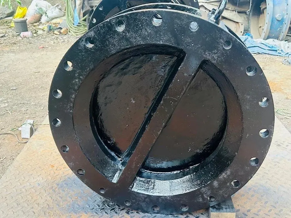 Dual Plate Check Valves