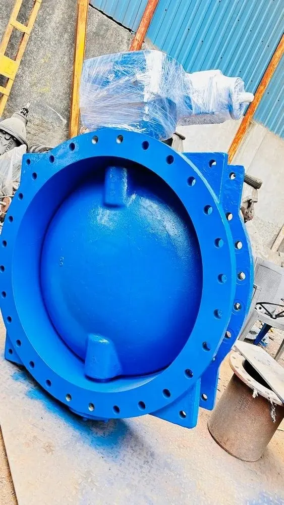 Cast Iron Butterfly Valve